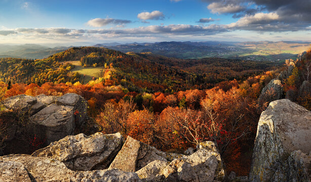 Sunset landscape with high peaks and valley with autumn spruce forest under vibrant colorful evening sky in forest mountains.