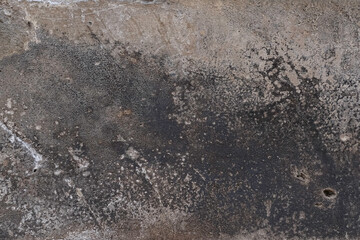Concrete wall with mildew wallpaper and background texture