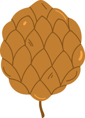 Acorn or pine tree cone vector illustration isolated on white background