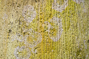 Concrete wall background and wallpaper texture