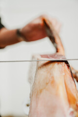 Profesional slicing Spanish jamon iberico (ham). Selective focus point