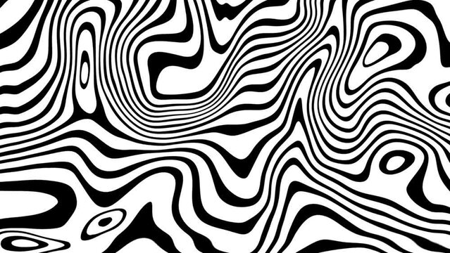 Striped wave animation. Black white liquid line animated pattern