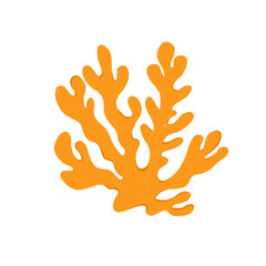 Obraz premium Coral, sea animals, snorkeling, hand drawn