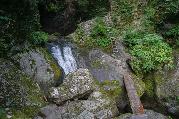 waterfall in the forest in japan