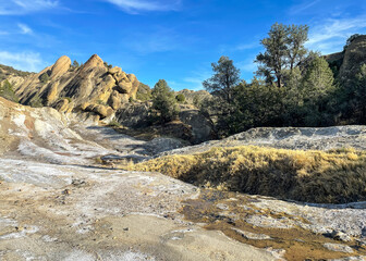Pine Mountain, Los Padres National Forest, California