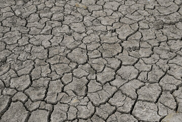 Cracked, Dry Pond Bed at Ojai Meadows Preserve, Ventura County
