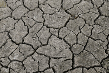 Cracked, Dry Pond Bed at Ojai Meadows Preserve, Ventura County