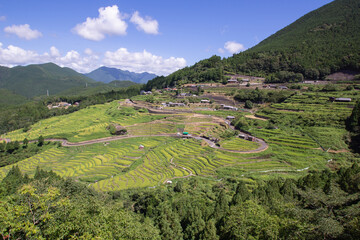 Countryside view, color sky and rice field