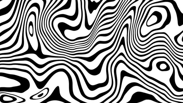 Striped wave animation. Black white liquid line animated pattern