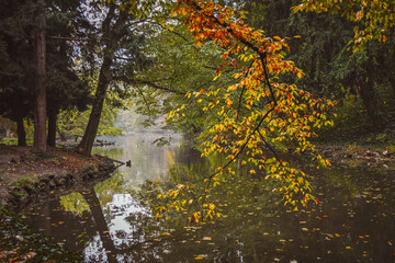 FOLIAGE AL PARCO DI MONZA