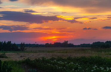 Landscape with sunset in the village in summer