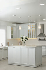 Luxury kitchen interior with new stylish furniture