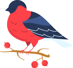 Bullfinch bird sit on a branch with a berry of red rowan berries vector illustration vector isolated on white