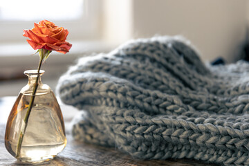 Rose in a vase and a knitted element on a blurred background.