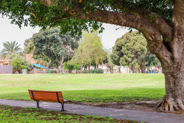 View of green trees and bench in park