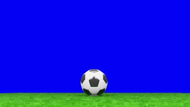 Animation of a Soccer ball or Football roll in and stop at the center of a Green Grass Field. Blue Screen background and Matte included. 3D render.