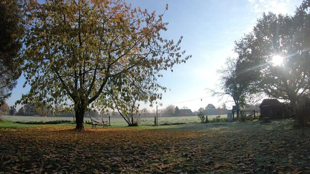 Fallende Bl&auml;tter im Herbst