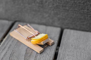 Wooden mousetrap with cheese outdoors, closeup
