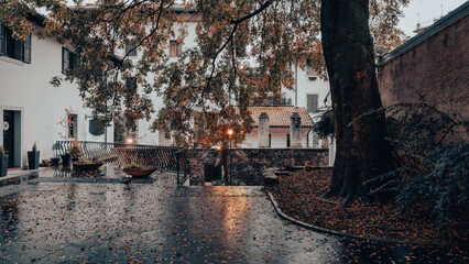 Rainy fall day. Architecture, tree and autumn leaves in Udine city, Friuli Venezia Giulia, Italy