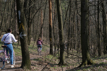 Obraz premium An arrow sign pointing at cyclists riding in a Spring forest at Holosiivskyi National Nature Park, Kyiv, Ukraine