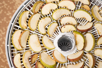 Dehydrated fruit in electric dryer. Grid for home drying of fruits and vegetables with dried apples.