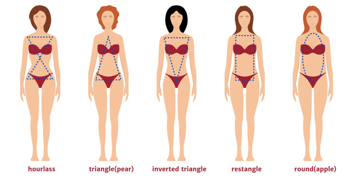 five types of female figures in bathing suits. Vector flat illustration