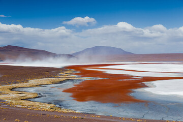 The stunning red lagoon (Laguna Colorada) in the Eduardo Avaroa Andean Fauna National Reserve, southwest of the altiplano of Bolivia, seen during a sunny morning