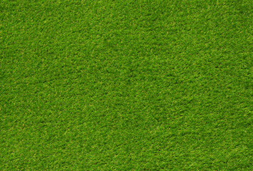 Plakat Top view fresh green grass
