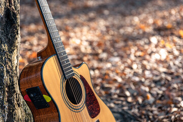 Acoustic guitar on a blurred background of an autumn forest.
