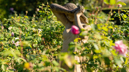 薔薇の蕾と少女像（彫像）