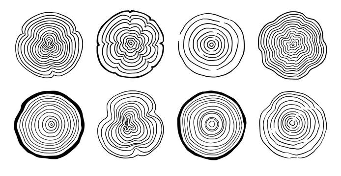 Tree ring wood circle set. Hand drawn tree ring pattern, line ripple circle wood texture. Wood organic slice line design. Vector illustration.