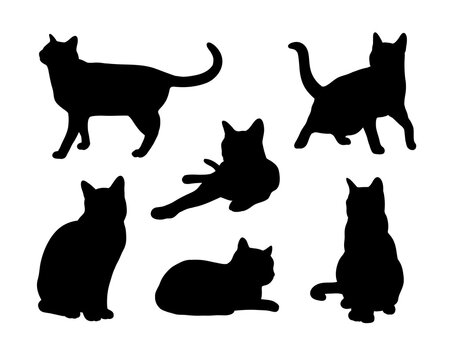 Black Cat Silhouette Abstract Set in different poses. Sitting, standing, running etc. Icon, Logo vector illustration.