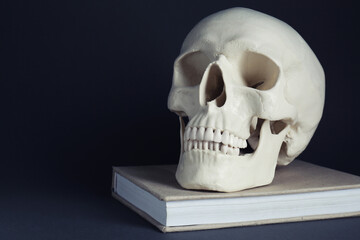 White human skull with book on black background, space for text