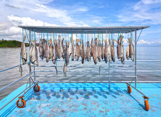 Dry salted fish hanging below the rack. Preservation of food. Sea scenery background.