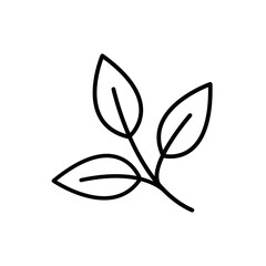Icon sprigs of tea. Eco food symbol. Leaf of olive, mint. Linear style icon. Flat design element. Editable stroke. 48x48 Pixel Perfect.