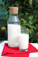 Glass and bottle of fresh milk on white wooden table outdoors