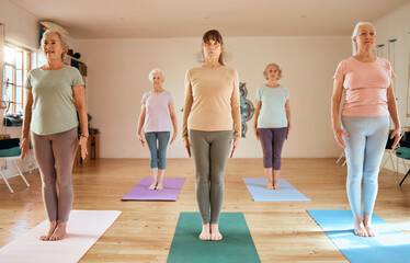 Fitness, yoga and elderly women in a class to relax and start a calm, workout and peaceful meditation in a studio. Wellness, friends or zen senior people ready for mindfulness training and exercise