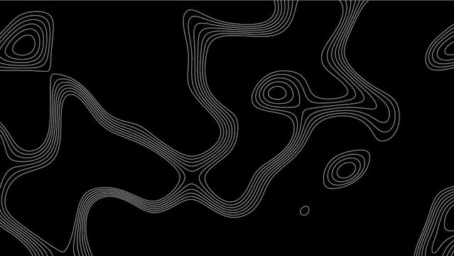 Topographic Line loop Background. Contour line texture.