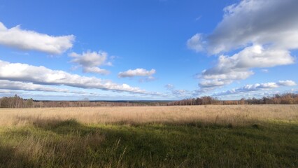 Clouds hang over the field in even rows. On an autumn sunny day, cumulus clouds hang over a distant forest and a meadow with yellowed grass. The White Clouds lined up in long, even rows.