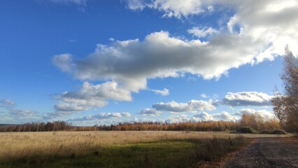 Clouds hang over the field in even rows. On an autumn sunny day, cumulus clouds hang over a distant forest and a meadow with yellowed grass. The White Clouds lined up in long, even rows.