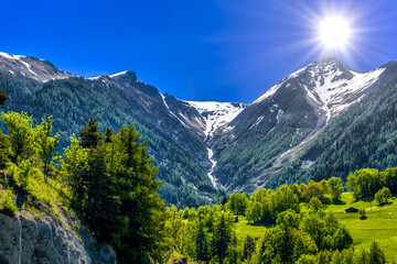 Swiss Alps mountains with trees, Moerel, Filet, Oestlich Raron, Wallis Valais Switzerland