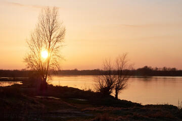 Fototapeta na wymiar Sunset over the river. Orange sunset through the riverside trees