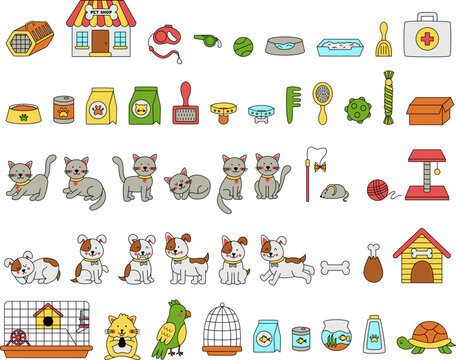 Set of cute pets and pet accessories in cartoon style.