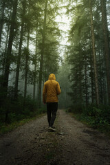 Fototapeta premium man in the woods