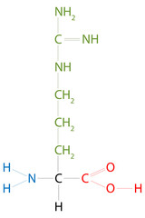The structure of Arginine. Arginine is an amino acid.