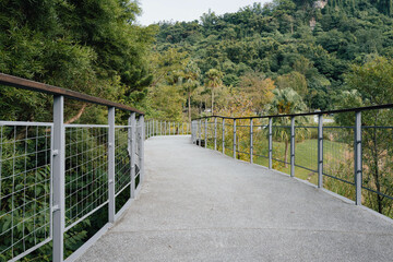 wooden bridge in the woods 