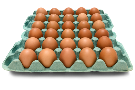 Cartela com ovos vermelhos. Cartela de papelão com trinta ovos vermelhos. Vista de frente.