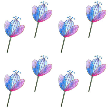 Pattern con fiori ad acquerello isolati su sfondo trasparente