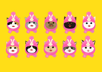 ウサギのマークが付いたピンク色の帽子をかぶる可愛い10匹の猫