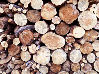 tree stumps background. ends of logs wooden background. toning. wood in the stack. Pile of wood logs ready for winter